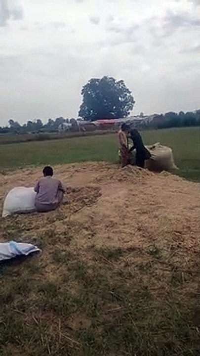 VID-20230516-WA0006