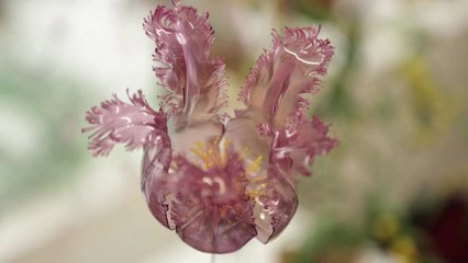 플라스틱 폐기물이 예쁜 꽃으로...아름다운 변신 / YTN