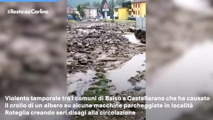 下载视频: Maltempo a Reggio Emilia, frane e fiumi d'acqua a Baiso: il video