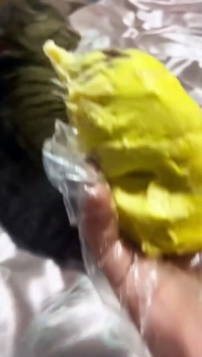 Is that ??  | Very bad smell