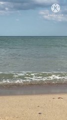 Unlocking the Power of Namaz: A Guide to Success।