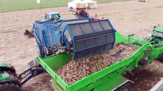 Awesome Agriculture Technology - Garlic, Red beet, Bitter Melon Cultivation Farming and Harvest