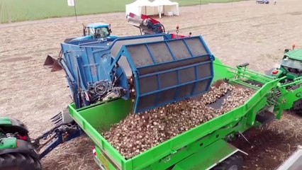 Awesome Agriculture Technology - Garlic, Red beet, Bitter Melon Cultivation Farming and Harvest