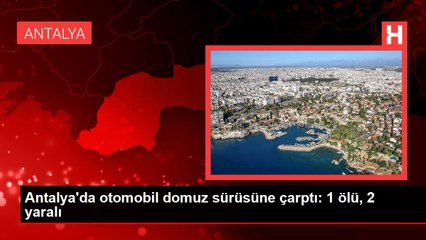 Antalya'da otomobil domuz sürüsüne çarptı: 1 ölü, 2 yaralı