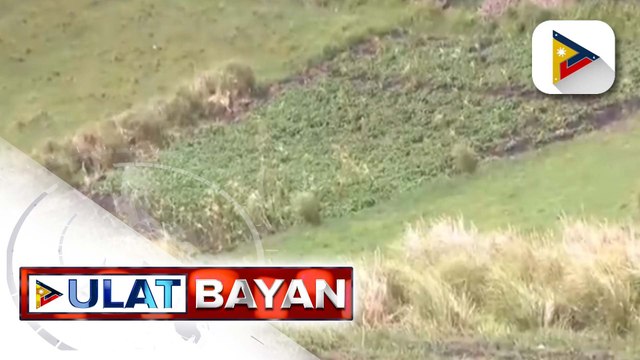 Pinsala ng severe tropical storm #BettyPH sa pananim, ramdam ng mga magsasaka sa Batanes
