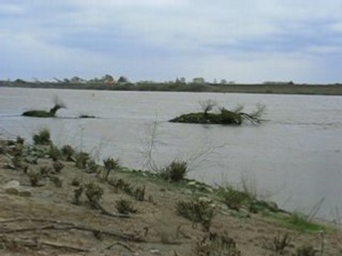 Sainte Luce sur Loire : île Clémentine (2)