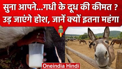 World Milk Day: गधी के Milk की कीमत जानकर उड़ जाएंगे होश, जानिए क्या हैं फायदे | वनइंडिया हिंदी