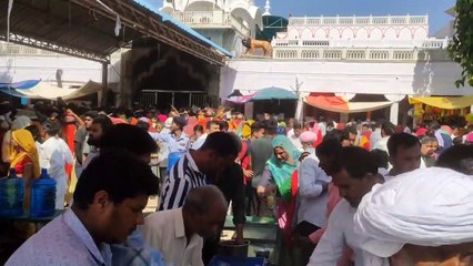 निर्जला एकादशी पर उमड़ा श्रद्धा का सैलाब