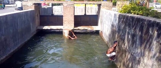 VIDEO सूर्य के ताप से बचने को लगाई डुबकी