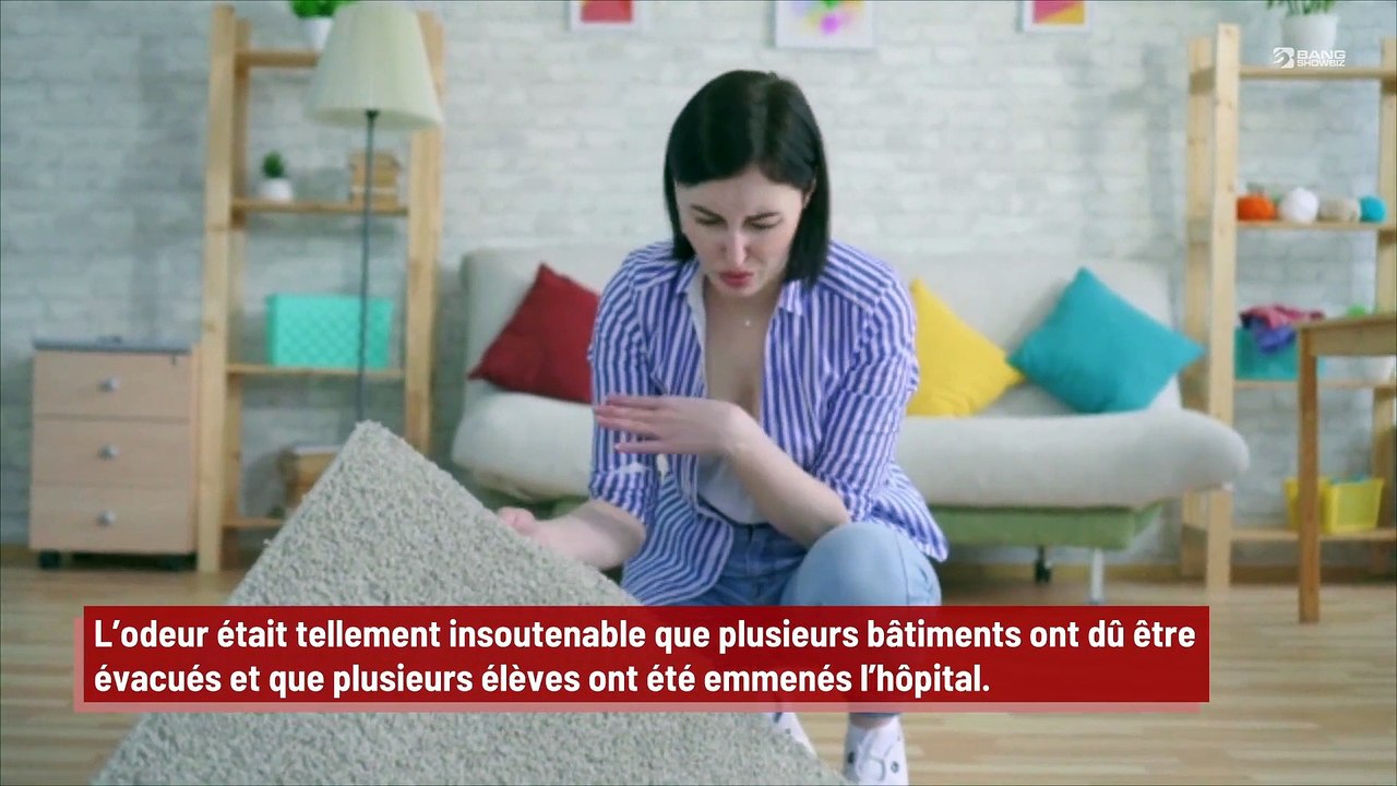 Deux étudiants interpellés pour avoir utilisé une boule puante bien trop odorante dans leur lycée !