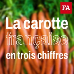 La carotte française en trois chiffres