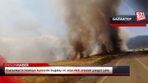 Gaziantep'in İslahiye ilçesinde buğday ve arpa ekili arazide yangın çıktı