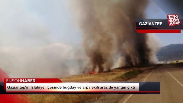 Gaziantep'in İslahiye ilçesinde buğday ve arpa ekili arazide yangın çıktı