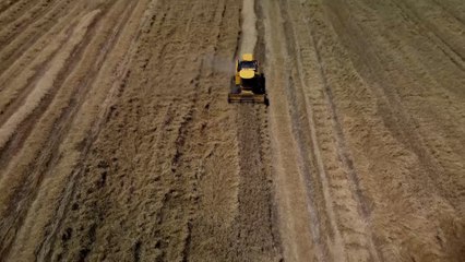 وفرة الأمطار ساهمت في زيادة رقعة مساحة الأراضي الزراعية بالعراق