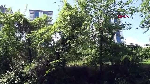 Pendant les célébrations électorales, la balle du pistolet a touché la crèche