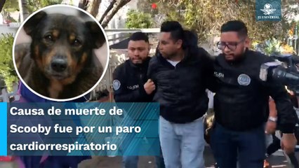 Sergio, a prisión por arrojar a perrito a cazo y lo acusan de tentativa de homicidio