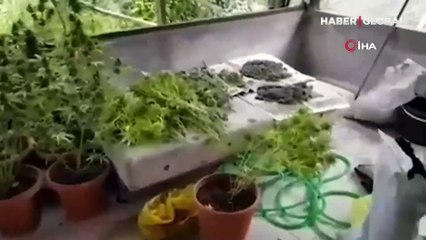 Tarihi Karahisar Kalesi'ne yapılan vandallık pes dedirtti