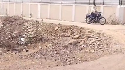 कसरावद: भीषण गर्मी से लगातार बढ़ रहा तापमान,आग उगलती गर्मी ने किया बेहाल