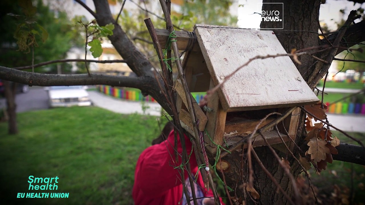 EU-Gesundheit: 19% der Bulgaren können sich keine Medikamente leisten