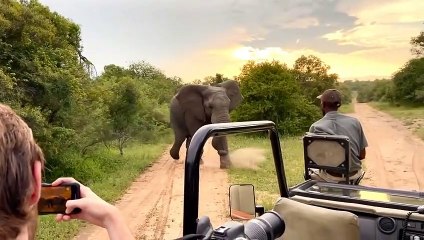 رهيب! فرس النهر العملاق يهاجم البشر ويدمر قوارب الصيادين - لن تصدق مدى قوته