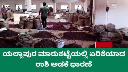 ಯಲ್ಲಾಪುರ ಮಾರುಕಟ್ಟೆಯಲ್ಲಿ ಏರಿಕೆಯಾದ ರಾಶಿ ಅಡಕೆ ಧಾರಣೆ