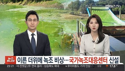 이른 더위에 녹조 비상…국가녹조대응센터 신설