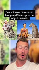 Des animaux réunis avec leur propriétaire après de longues années