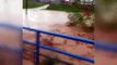 Inondation torrentielle causée à Sarkisla ; Maisons inondées, terres agricoles endommagées
