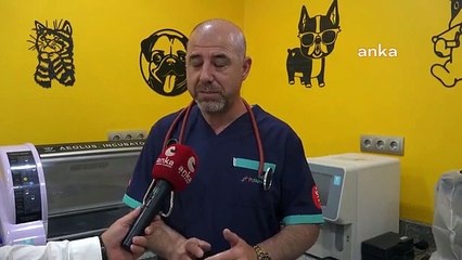 Aksaray'da evcil hayvanlara çip uygulaması uyarısı