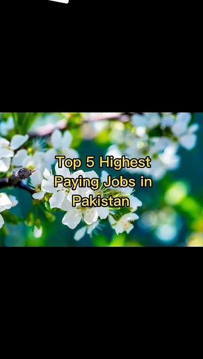Top 5 job in Pakistan | fiver