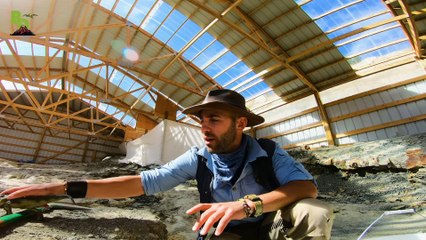 Digging Up Jurassic Treasure!