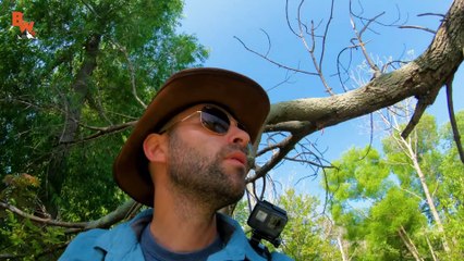 FOUND! Incredibly Rare Turtle!