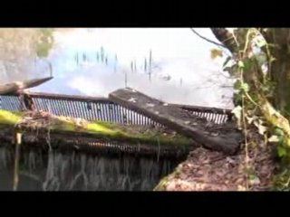 Promenade en campagne