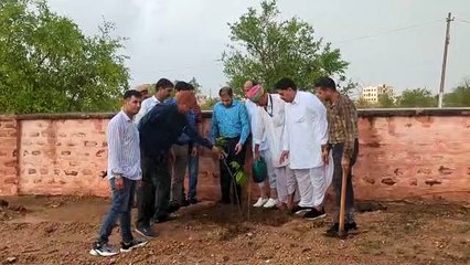 पर्यावरण समाचार पौधारोपण समाचार राजस्थान पत्रिका नागौर