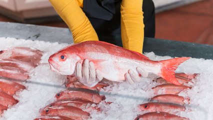 How to Buy the Best Fish at the Grocery Store, According to Fishmongers