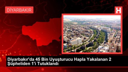 Diyarbakır'da 45 Bin Uyuşturucu Hapla Yakalanan 2 Şüpheliden 1'i Tutuklandı