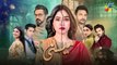 Meesni - Episode 102 - ( Bilal Qureshi, Mamia, Faiza Gilani ) 1st June 2023 - HUM TV