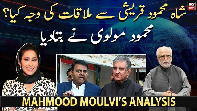 Was Shah Mahmood Qureshi asked to quit PTI? Mahmood Moulvi comments