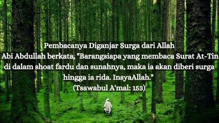 Keutaman Surat At Tin