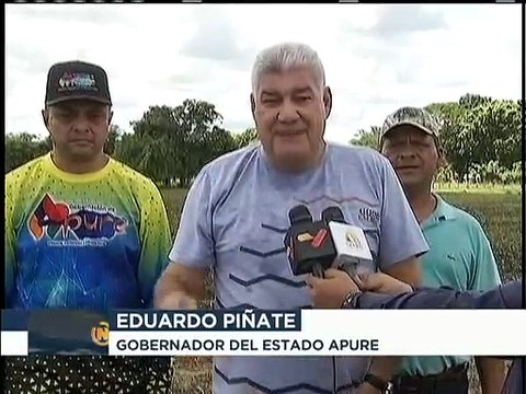 Inicia Plan de Siembra de maíz blanco en más de mil hectáreas en el estado Apure