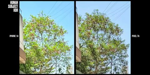 Pixel 7a vs iPhone 14 Camera Comparison Review - Calling All the Fanboys!