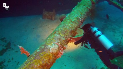 What's Inside the FBI's Most Wanted Shipwreck!