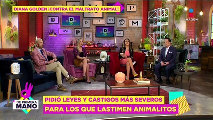 Juanpa Zurita al BORDE DEL LLANTO por caso  del perrito que murió en aceite