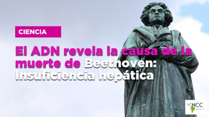 El ADN revela la causa de la muerte de Beethoven: Insuficiencia hepática
