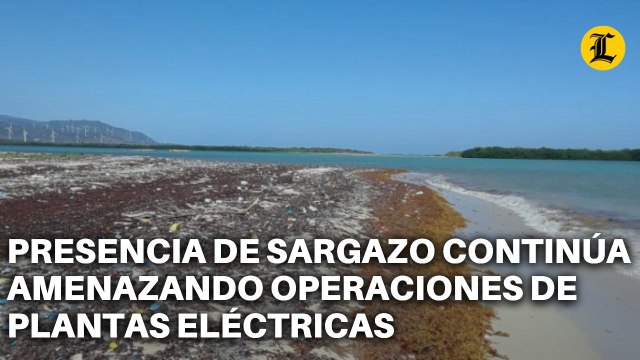 PRESENCIA DE SARGAZO CONTINÚA AMENAZANDO OPERACIONES DE PLANTAS ELÉCTRICAS