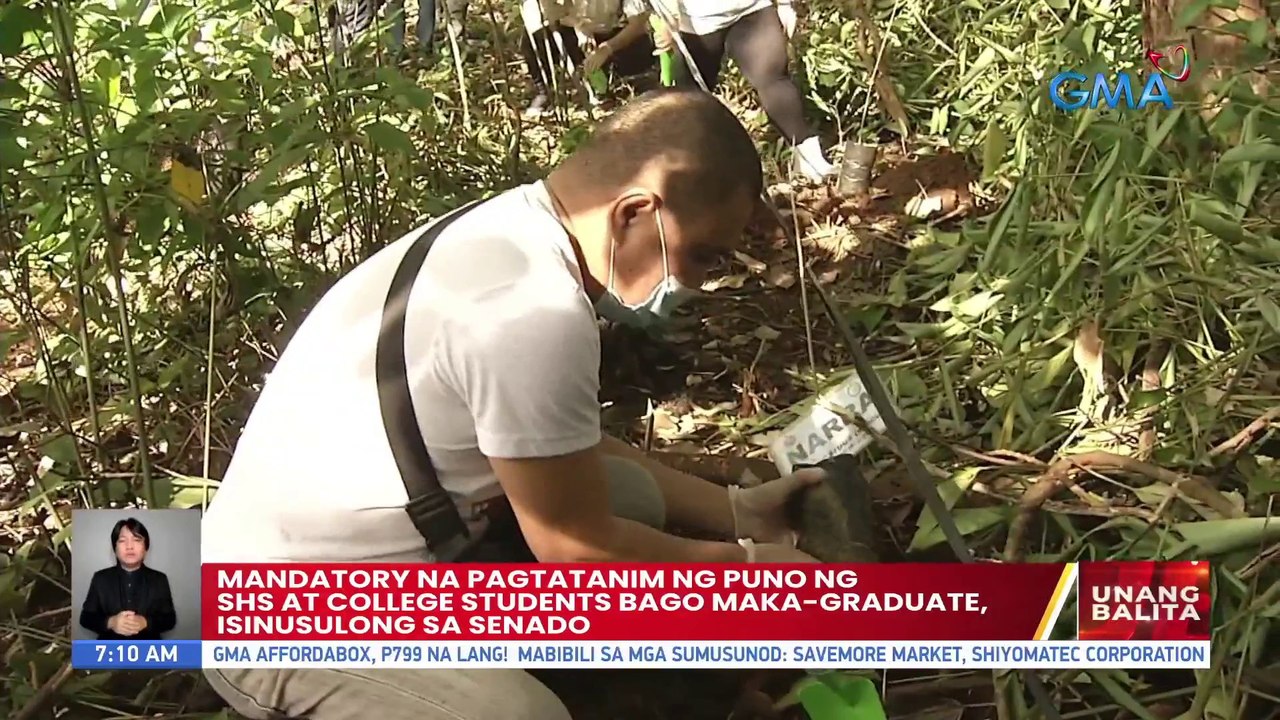 Mandatory na pagtatanim ng puno ng SHS at college students bago maka-graduate, isinusulong sa Senado | UB