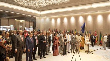 Union Africaine 60 ANS