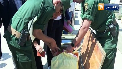 النشرة الأمازيغية لليلة الخميس 01 جوان 2023