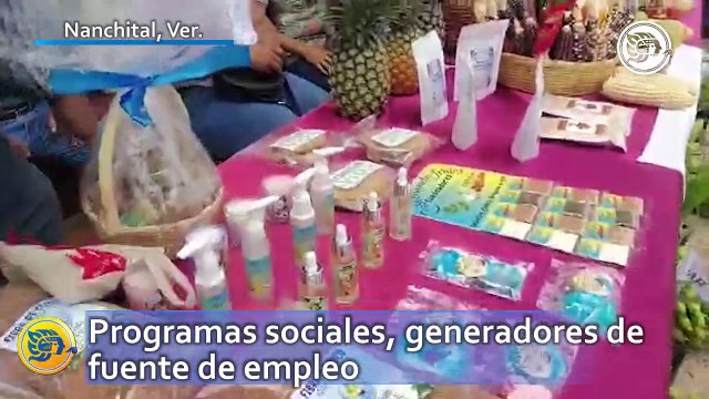 Programas sociales, generadores de fuente de empleo