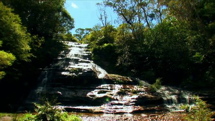 Miracles Of Nature S02